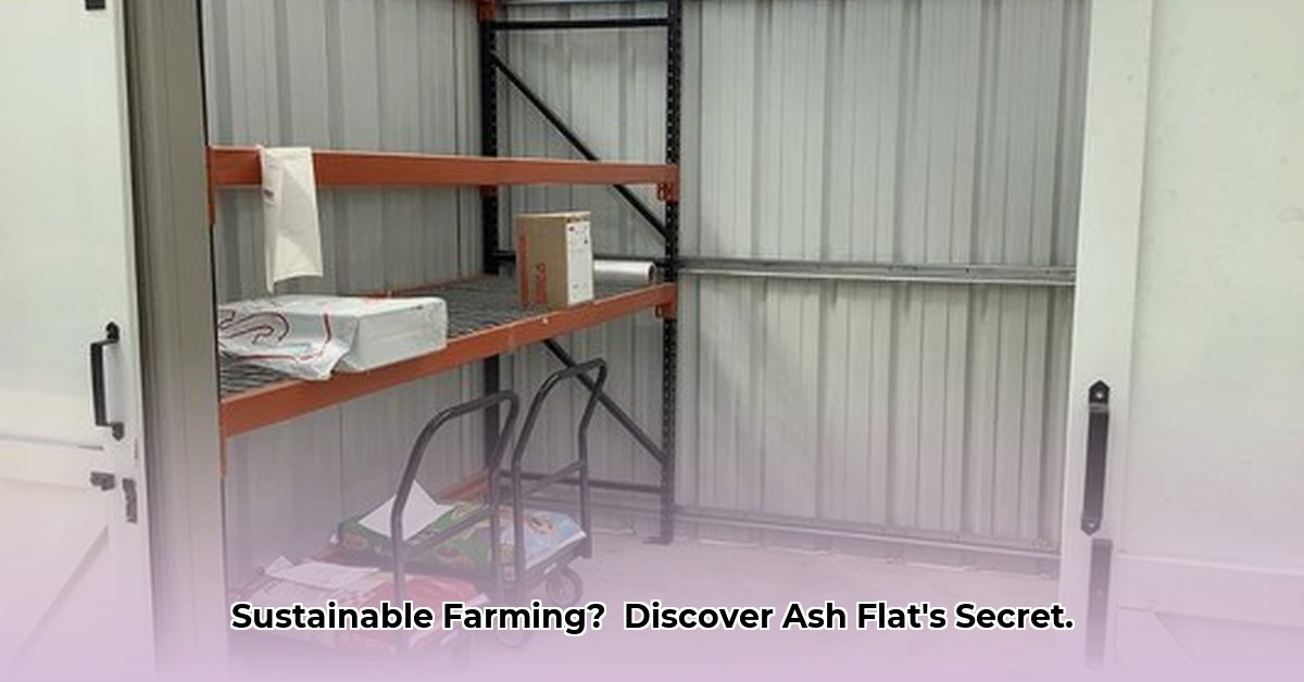 tractor-supply-ash-flat-ar